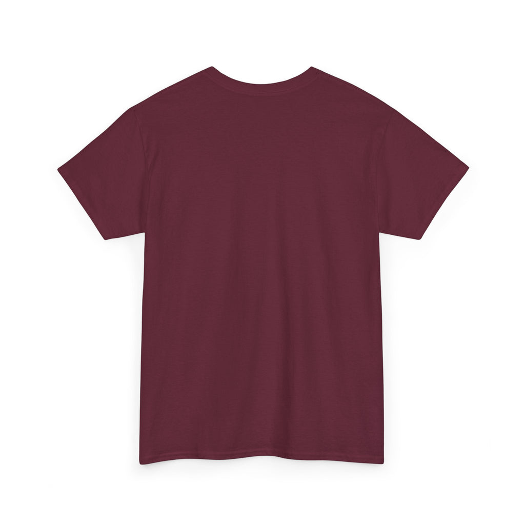 Horn Ok Please Funny Trucker T-Shirt