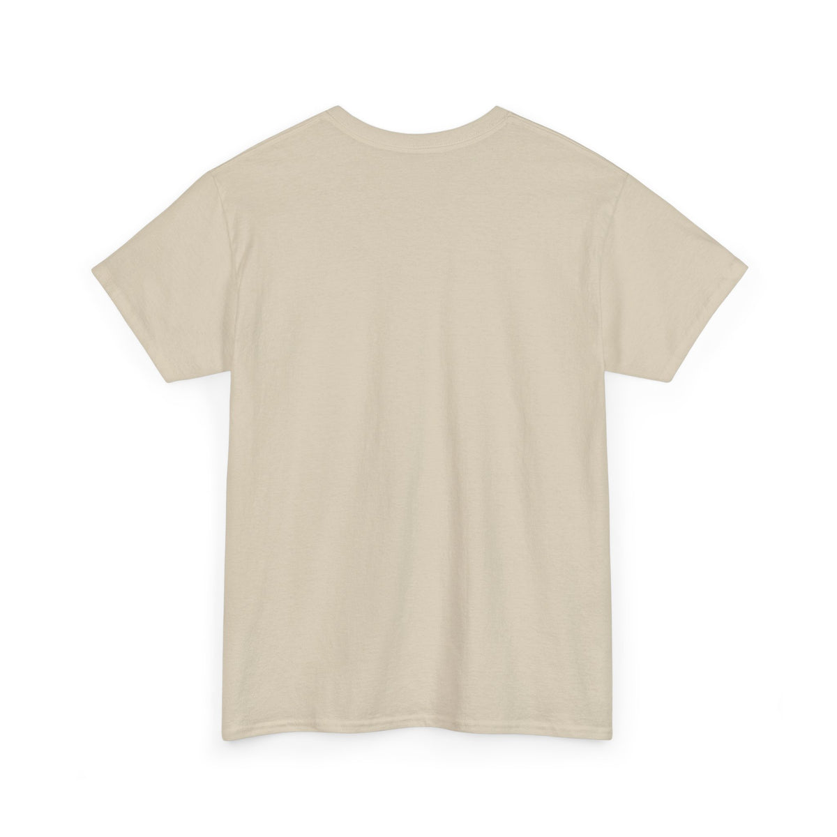 Funny Teacher Warning T-Shirt - Light Colors